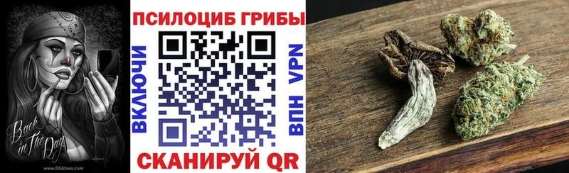 Купить закладки  Володарск  Галлюциногенные грибы мицелий 